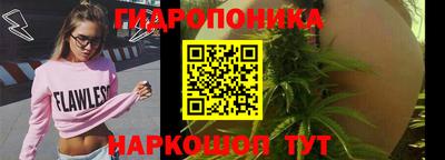 прущий лед Будённовск