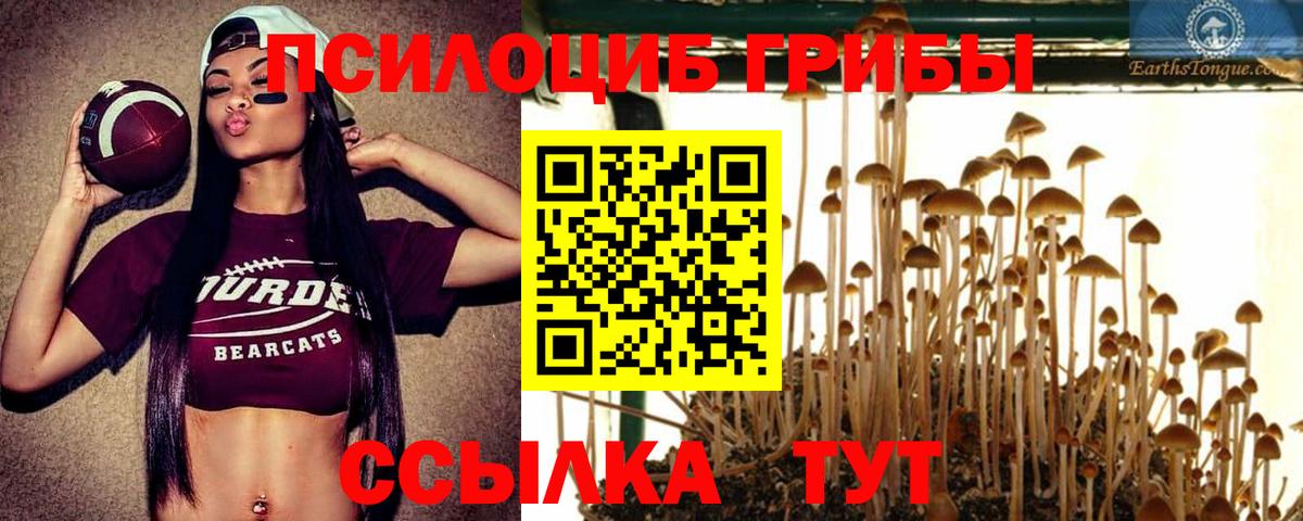 Галлюциногенные грибы мухоморы Миасс